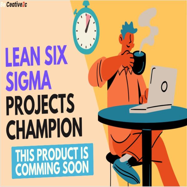 Lean Six Sigma Projects Champion